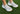 Runners for Women in Beige