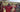 8000Kicks CEO outdoors with three members of a local Maasai community, surrounded by a rural landscape. Two people hold 8000Kicks T-shirts, while the CEO wears a beige 8000Kicks crossbody bag.