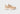 Explorer V2 for Women All Beige